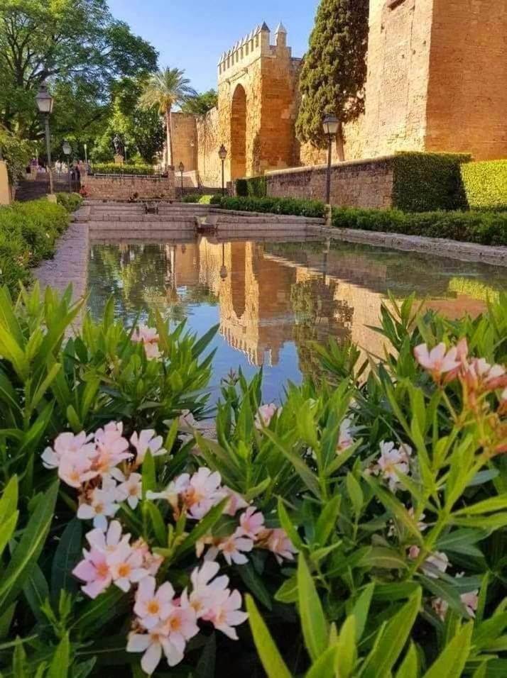 Apartamento La Marquesa Córdoba Buitenkant foto
